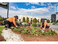 Mersin rengarenk çiçeklerle baharı karşılıyor