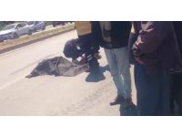 Mersin’de kamyonetin çarptığı yaşlı adam hayatını kaybetti