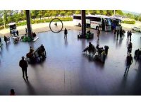 Adana’dan otobüsle Antalya’ya 300 civciv gönderdiler