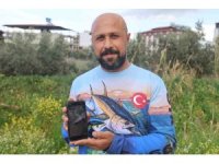 Oltasına takılan köpek balığı yavrusunu nasihat ederek denize bıraktı