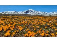 Yüksek rakımlı Geyik Dağları hayran bırakıyor