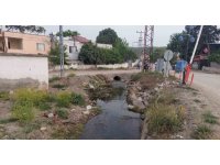 Elektrik akımına kapılan anne-kız hayatını kaybetti