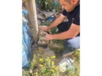 Kafasına bidon sıkışan yavru köpeğin yardımına itfaiye yetişti