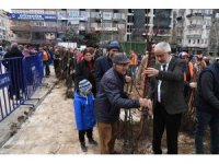 Isparta Belediyesi ücretsiz meyve fidanı dağıtacak