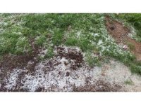 Afşin’de dolu tarım arazilerine zarar verdi