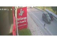 Telef olan köpeğin başında yürek burkan çaresizlik