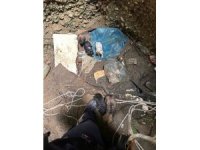 Antalya’da kuyuya düşen 7 yavru köpeği itfaiye kurtardı