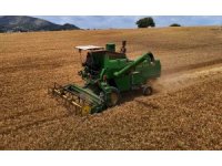 Adana’da buğday hasadı başladı