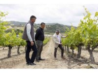 Mersin’de üreticilere damlama sulama sistemi anlatılıyor