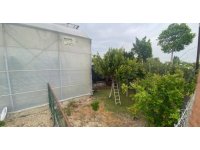 Serik’te kamyonet seraya daldı: 1 yaralı