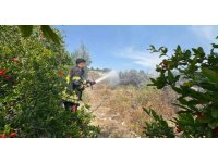 Mersin’de çalılık yangını bahçeye sıçramadan söndürüldü