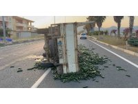 Salatalık yüklü kamyonet devrildi: Salatalıklar yola savruldu