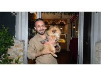 Güzellik yarışmasında birinci seçilen köpek bir hafta sonra ortadan kayboldu