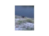 Asi Nehrinde mahsur kalan vatandaşı itfaiye ekipleri kurtardı