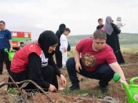 Kahramanmaraş’ta engelsiz orman