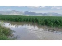 Adana’da şiddetli yağmur ve dolu, tarım ürünlerine zarar verdi