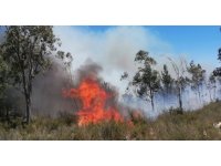 Mersin’de çıkan yangınlarda 14 dönüm alan zarar gördü