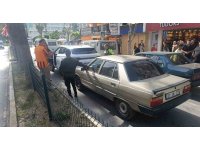 Ehliyetsiz ve alkollü sürücü 2 günlük son model cipe çarptı, araç sahipleri çileden çıktı