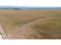 Kuraklık nedeniyle toprakta yarılmaların yaşandığı Amik Ovası’nda buğdaylar hasat olgunluğuna ulaşamadı