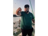 Antalya’da vantuzlu ‘remora’ balığı şaşkınlığı