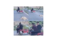 Telef olan köpeği sürükleyen şahsa 50 bin TL  ceza