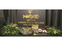 Antalya’da bir haftada 17 zehir taciri tutuklandı