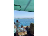 Side açıklarında Akdeniz foku görüntülendi, turistler hayretler içinde izledi