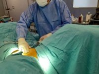 Anne karnındaki sıvı karaciğeri koruyor