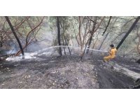 Kahramanmaraş’taki orman yangını kontrol altına alındı: 5,5 hektar zarar gördü