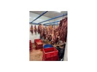 Adana’da 3 ton bozulmuş at eti ele geçirildi