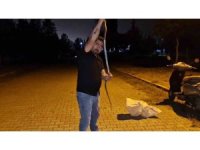 Yılanlara fısıldayan adam, çamaşır makinesine giren 1 buçuk metrelik karayılanı nasihat vererek doğaya bıraktı