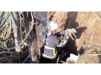 Kuyuda mahsur kalan yavru köpeğin imdadına itfaiye yetişti