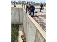 İnşaat temelinde mahsur kalan kediyi itfaiye kurtardı