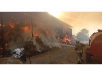 Samanlık yangını 16 saat süren çalışmayla söndürüldü