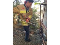 Ava giden sansar tellere takıldı