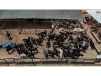 Adana’da kurbanlıklar görücüye çıktı: Kilo fiyatı 280 ile 310 TL arasında