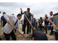 Hakim, savcı ve hükümlüler yanan ormanı yeşertmek için fidan dikti