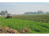 41 hektarlık ormanı tarım alanına dönüştürmeye çalıştılar, zamanında müdahale engel oldu