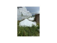 Serik’te sağanak ve dolu tarım arazilerine zarar verdi