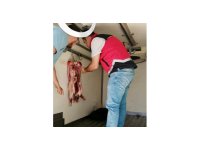 Uygun şartlarda taşınmayan 34 kilo et imha edildi