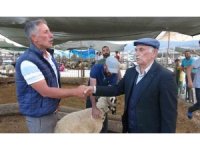 Bayram yaklaştı, kurban pazarında kıran kırana pazarlık başladı