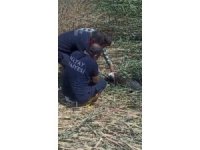 Kaçarak çamura saplanan kurbanlık koyunları itfaiye kurtarıldı