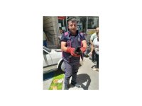 Aracın motoruna giren yavru kediyi itfaiye kurtardı