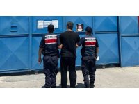 Limon bahçesinde saklanan hükümlü yakalandı