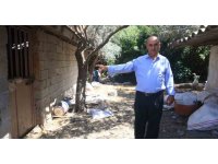 ‘Bu benim en uysal hayvanım’ dediği boğa, karayolunda trafiği durdurarak korku dolu anlar yaşattı