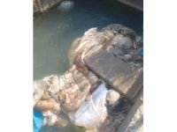 Adana’da sulama kanalları hayvan pislikleriyle doldu taştı