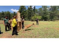 Antalya’da doğaya salınan alageyiğin hareketleri uyduyla izleniyor