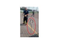 Fabrikaya giren yılanı itfaiye ekipleri yakaladı