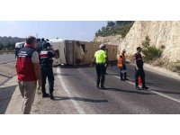 Angus yüklü tır devrildi, kaçan hayvanlar yakalandı