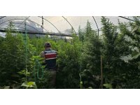 Hatay’da jandarma ekipleri 83 şahsın evinde ve iş yerinde arama yaptı